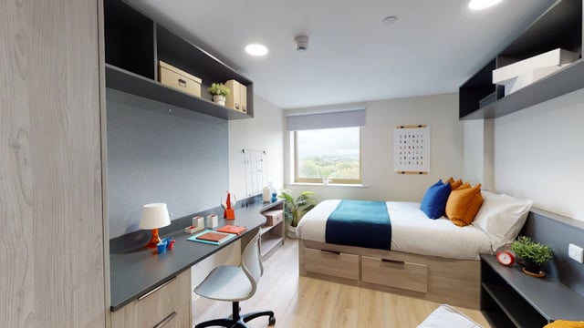 Desk bed shelves and chair bedroom at Stanley Studios in Southampton Student Accommodation