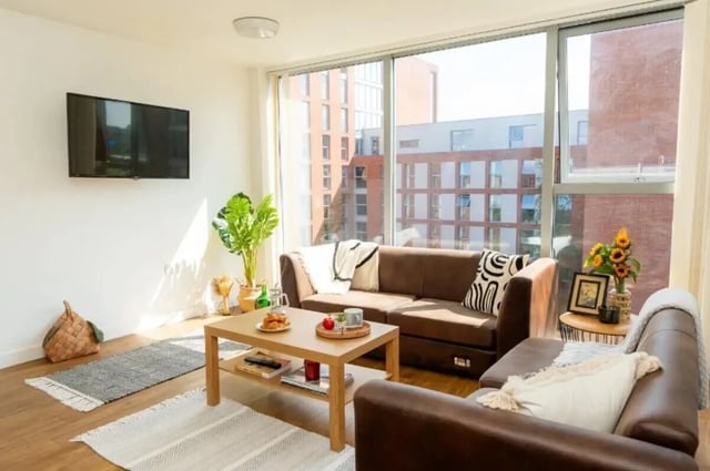 Sofa coffee table rugs television plants living room at Denmark Road in Manchester Student Accommodation