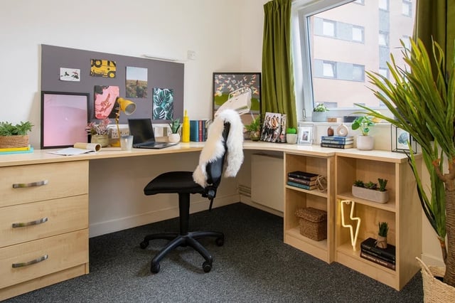 Desk chair corkboard laptop books plants study area at Mary Sturge in Birmingham Student Accommodation