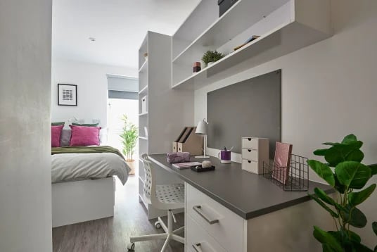 Bed desk shelving and plant student room at The Quarry in Falmouth Student Accommodation
