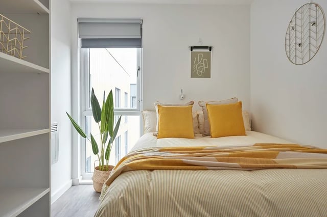 Bed with yellow pillows plant bookshelf bedroom at The Quarry in Falmouth Student Accommodation
