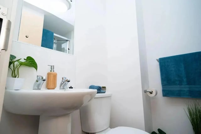 Sink toilet plants towel dispenser bathroom at Walker Street in Preston Student Accommodation
