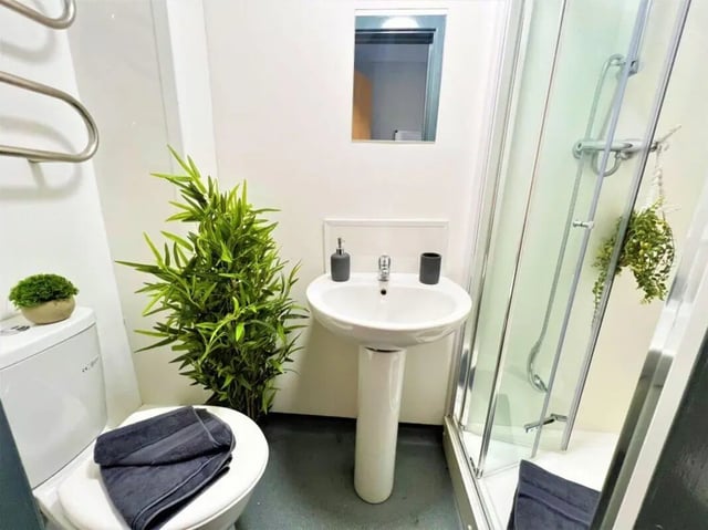 Toilet sink shower with plants and towel bathroom at Parklane House in Sunderland Student Accommodation