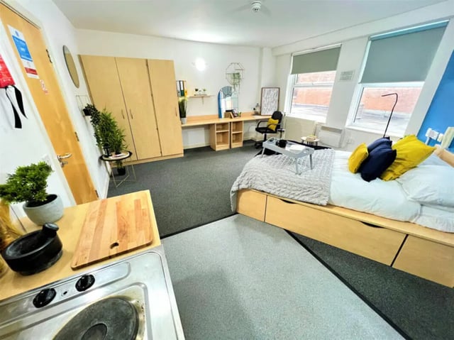 Bed wardrobe desk chair and plant student room at Dunn House in Sunderland Student Accommodation