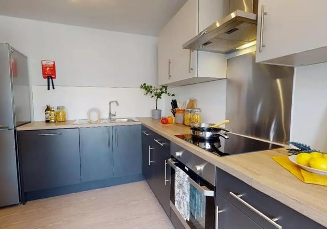Modern grey kitchen with stainless steel appliances kitchen at iQ Hoxton in London Student Accommodation