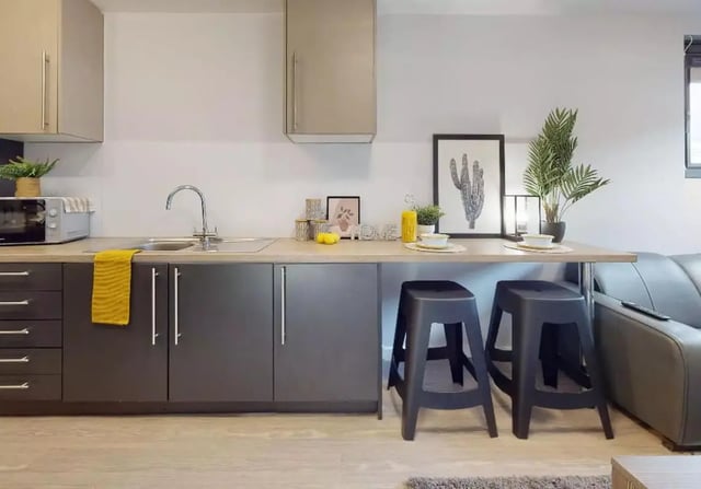 Counter sink microwave stools cactus art kitchen at iQ Steel in Sheffield Student Accommodation