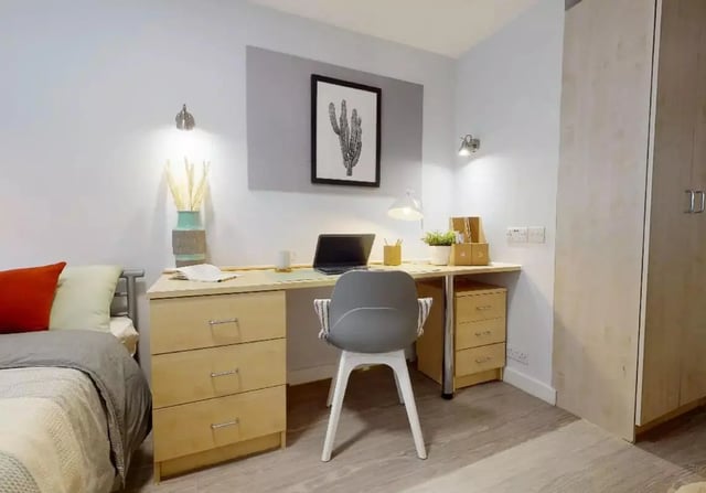 Bed desk chair cactus art student room at iQ Brocco in Sheffield Student Accommodation