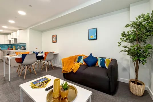 Sofa dining table kitchen and plant living room at Carrick View in Falmouth Student Accommodation