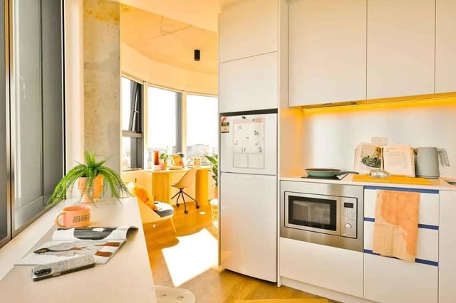 Plant microwave kettle and fridge kitchen at Scape Kingsford in Sydney Student Accommodation
