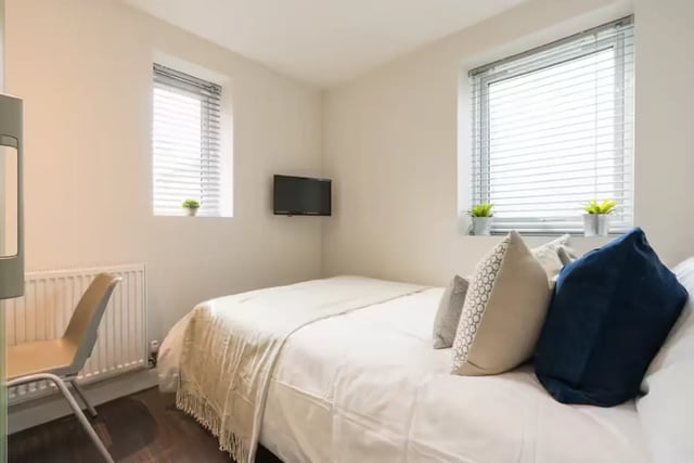 Bed TV chair radiator windows and plants bedroom at 16 Queen Anne Street in Stoke-On-Trent Student Accommodation