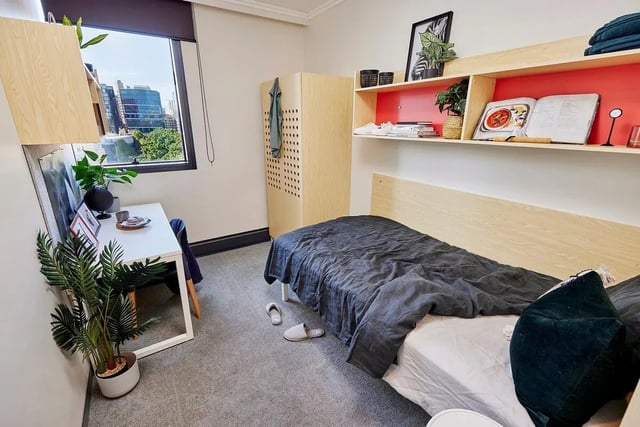 Bed desk plant and shelves student bedroom at Scape Darling Square in Sydney Student Accommodation