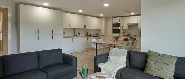 Two sofas kitchen dining area living room at Christchurch Road in Bournemouth Student Accommodation