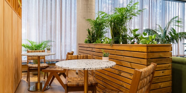 Tables chairs plants natural wood communal area at Canvas Manchester in Manchester Student Accommodation