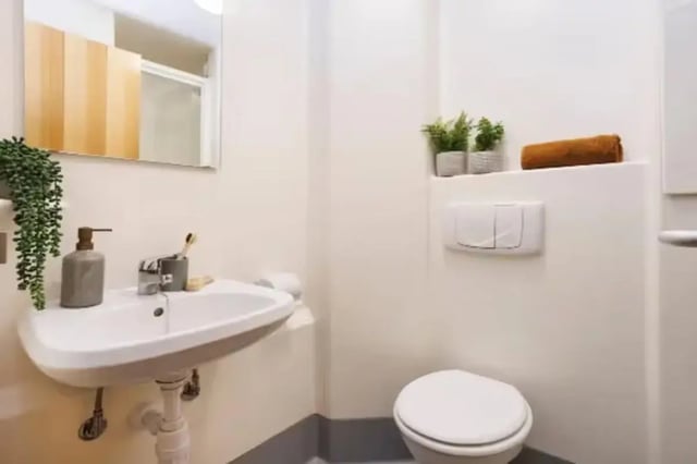 Sink toilet dispenser plants towel bathroom at Riverside Point in Nottingham Student Accommodation