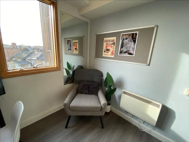 Armchair plant mirror and framed pictures living room at Charles Morton Court in London Student Accommodation