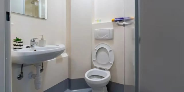 Sink toilet soap dispenser and plant bathroom at The Heights in Birmingham Student Accommodation