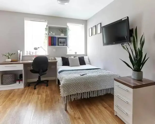 Desk chair bed TV plant and dresser bedroom at The Mews in Oxford Student Accommodation