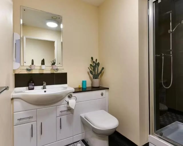 Sink toilet shower plants mirror bathroom at The Hub in London Student Accommodation