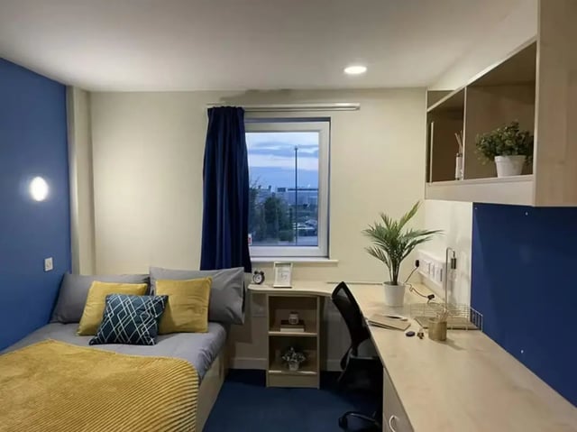 Bed desk chair plant and shelves student bedroom at Nottingham Two in Nottingham Student Accommodation