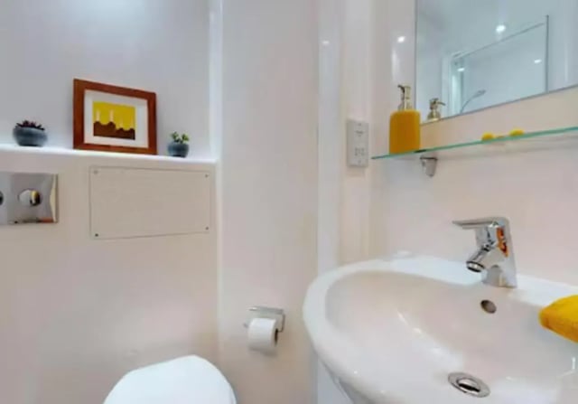 Toilet sink framed art and plants bathroom at iQ Twerton Mill in Bath Student Accommodation