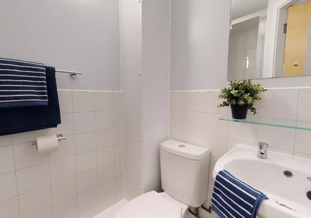 Toilet towels sink plant mirror bathroom at iQ Student Quarter in Salford Student Accommodation