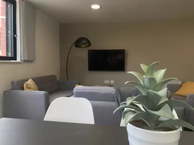 Grey sofas plant and TV living room at Hollis Croft in Sheffield Student Accommodation