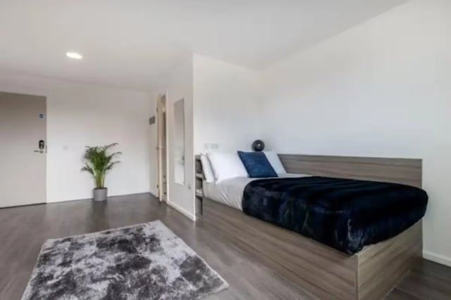 Bed with navy blanket grey rug plant bedroom at Hollis Croft in Sheffield Student Accommodation