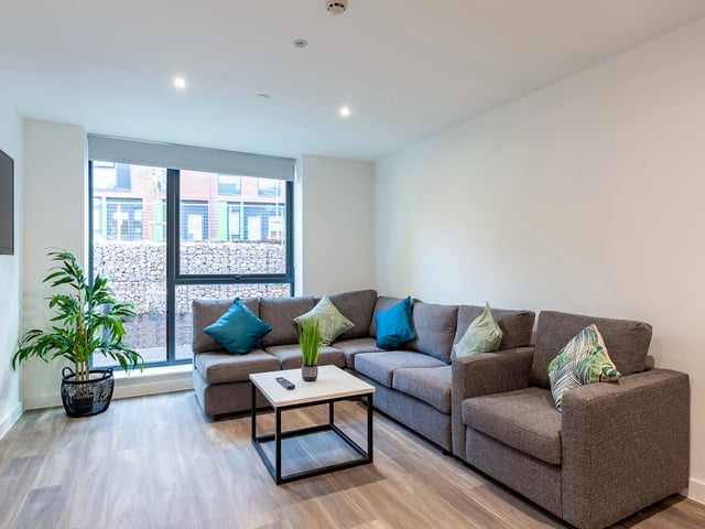 Sofa with cushions coffee table and plant living room at Hill View Place in Exeter Student Accommodation