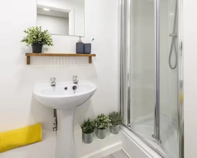 Sink shower plants towel bathroom at Central Place in Sheffield Student Accommodation