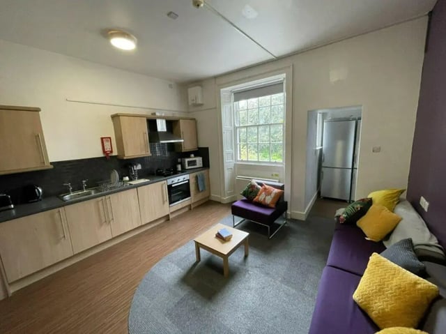 Kitchen living area with sofa and fridge living room at St Mary's Newcastle in Newcastle Upon Tyne Student Accommodation