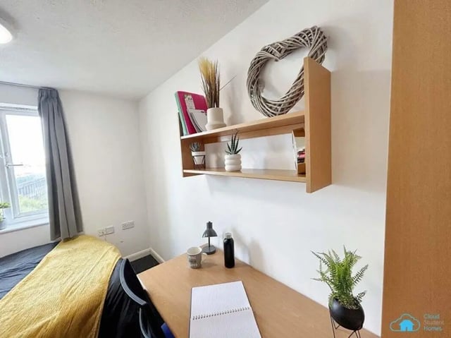 Bed desk shelves with plants and decor bedroom at Rochester Student Village in Rochester Student Accommodation