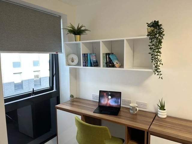 Laptop on desk with plants books study area at Nebula in Sheffield Student Accommodation
