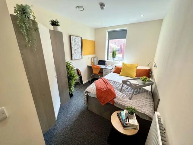Bed desk wardrobe plant tray laptop bedroom at Stratus in Sheffield Student Accommodation