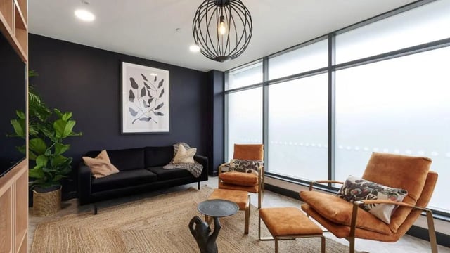 Sofa chairs artwork and plant living room at Heantun Point in Wolverhampton Student Accommodation