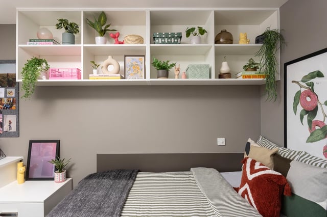 Shelves with plants and decor over bed Bedroom at Causeway View in Aberdeen Student Accommodation