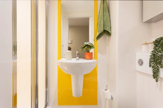 Sink soap dispenser plant toilet roll bathroom at Causeway View in Aberdeen Student Accommodation