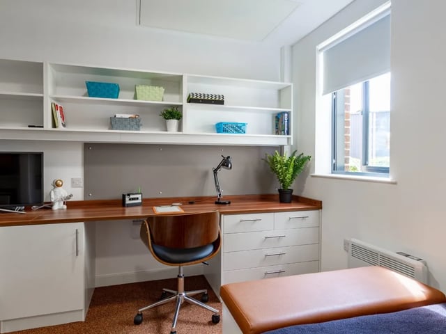 Desk chair shelves plant and television Study area at The Shield in Newcastle Upon Tyne Student Accommodation