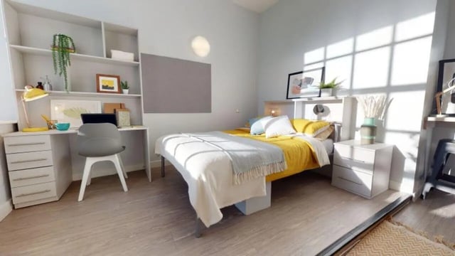 Bed desk shelving plants and artwork bedroom at iQ Studios 51 in Birmingham Student Accommodation