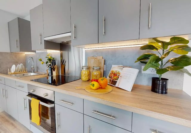 Modern grey kitchen with hob oven sink and plant kitchen at iQ Altus House in Leeds Student Accommodation