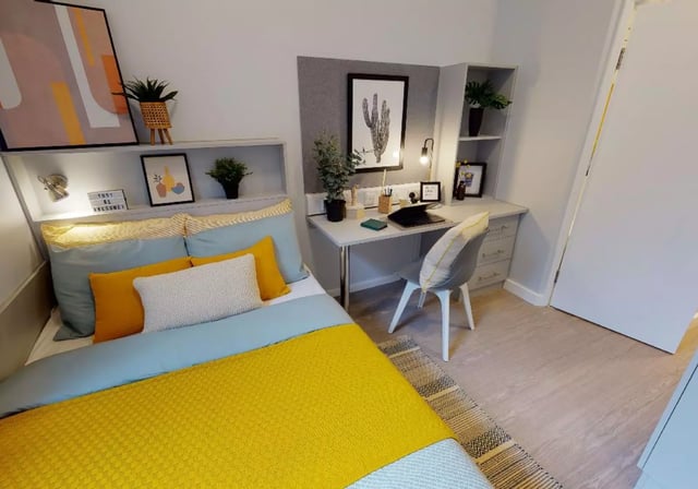 Bed desk chair plant artwork bedroom at iQ Will Wyatt Court in London Student Accommodation