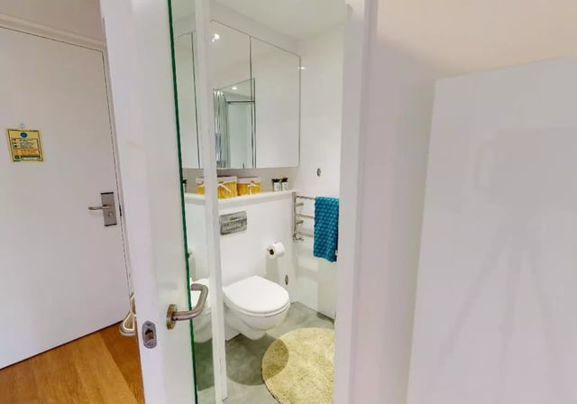 Toilet, towel rack, cabinets, round rug bathroom at iQ Flinders House in London Student Accommodation