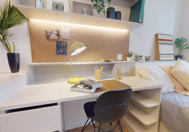 Desk chair lamp plants and bed student room at iQ East Court in London Student Accommodation