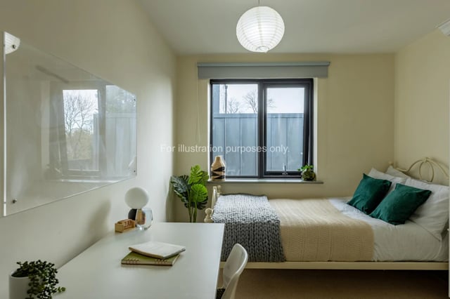 Bed desk plants and window Bedroom at Mary Morris House in Leeds Student Accommodation