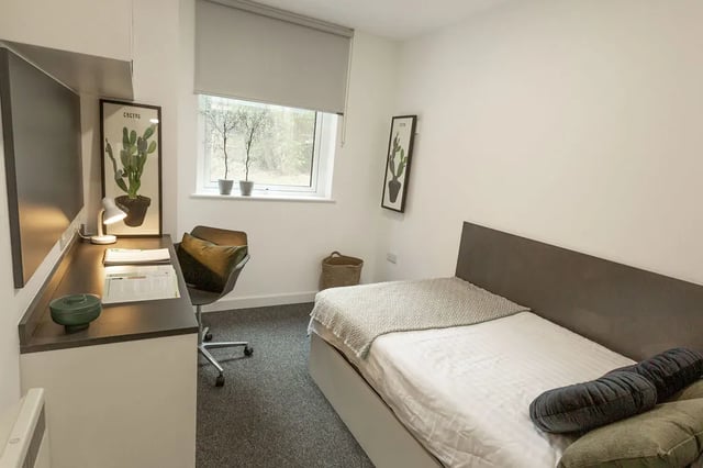 Bed desk chair artwork window plants bedroom at Canterbury Student Manor in Canterbury Student Accommodation