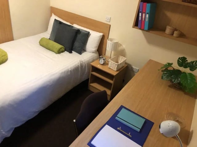 Bed bedside table desk chair plant and binders bedroom at Foundry 1 in Loughborough Student Accommodation