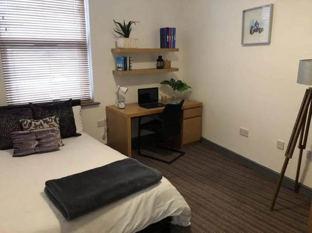 Bed desk laptop chair shelves framed picture bedroom at Millfield House in Sunderland Student Accommodation