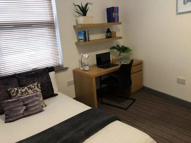 Bed desk laptop plants and shelves bedroom at Millfield House in Sunderland Student Accommodation