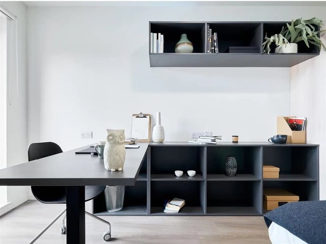 Desk chair owl books shelves study area at Dun Holm House in Glasgow Student Accommodation