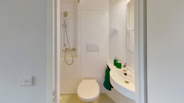 Shower toilet sink and green accessories bathroom at Middle Street - Nottingham in Nottingham Student Accommodation