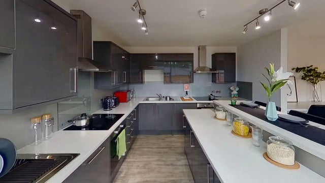 Modern gray cabinets and counter kitchen kitchen at Middle Street - Nottingham in Nottingham Student Accommodation